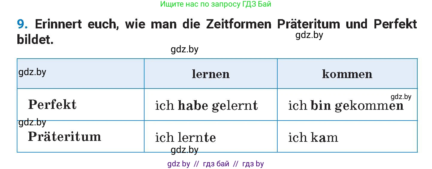 Немецкий язык (Deutsch), 8 класс Учебник (Schülerbuch), автор: Будько Антонина Филипповна (Budjko Antonina), издательство Адукацыя i выхаванне, Минск, 2026, страница 206, номер 9, Условие