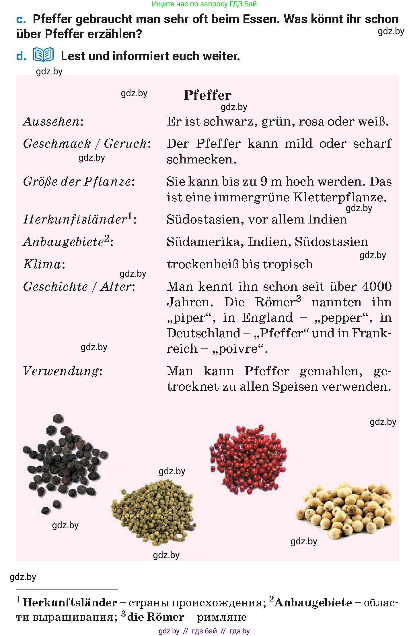 Немецкий язык (Deutsch), 8 класс Учебник (Schülerbuch), автор: Будько Антонина Филипповна (Budjko Antonina), издательство Адукацыя i выхаванне, Минск, 2026, страница 233, номер 5, Условие (продолжение 2)