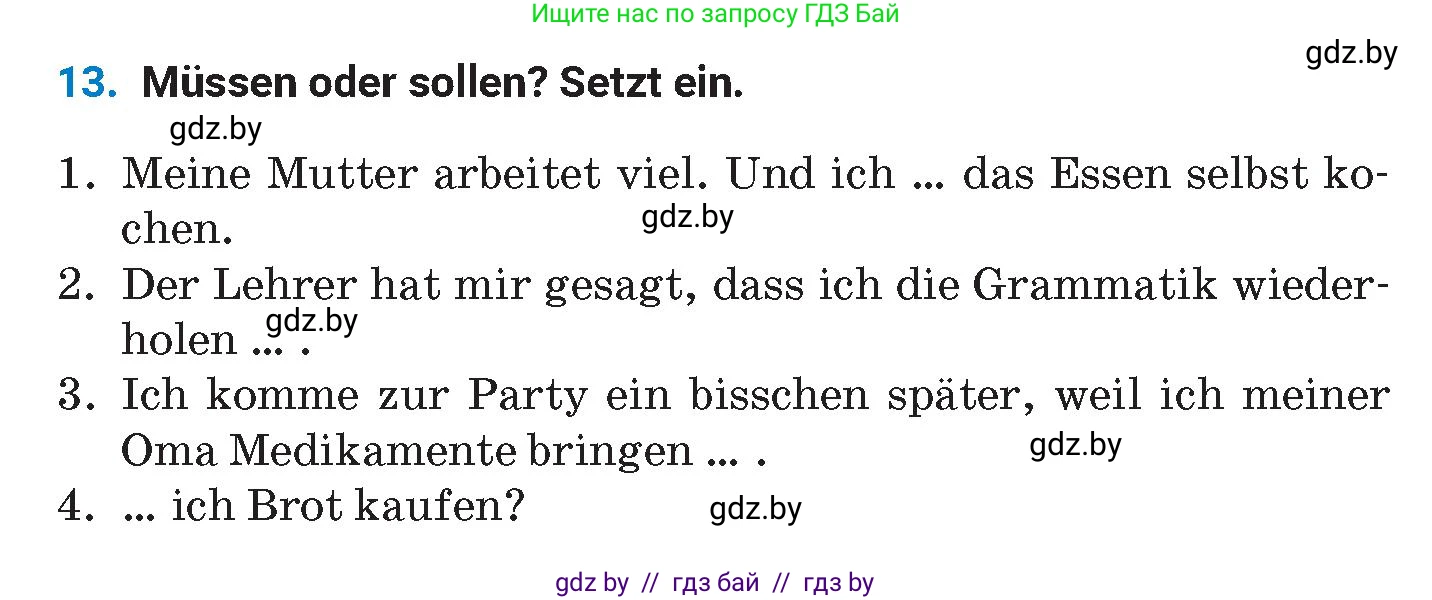 Немецкий язык (Deutsch), 8 класс Учебник (Schülerbuch), автор: Будько Антонина Филипповна (Budjko Antonina), издательство Адукацыя i выхаванне, Минск, 2026, страница 246, номер 13, Условие