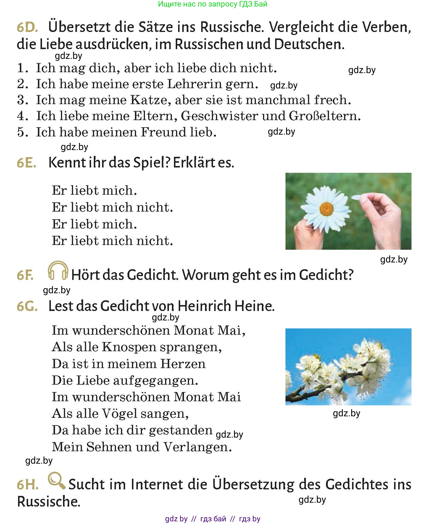 Немецкий язык (Deutsch), 9 класс Учебник (Schülerbuch), авторы: Будько Антонина Филипповна (Budjko Antonina), Курьян Владимир Владимирович (Kurjan Wladimir), издательство Адукацыя i выхаванне, Минск, 2026, зелёного цвета, страница 61, номер 6, Условие (продолжение 2)