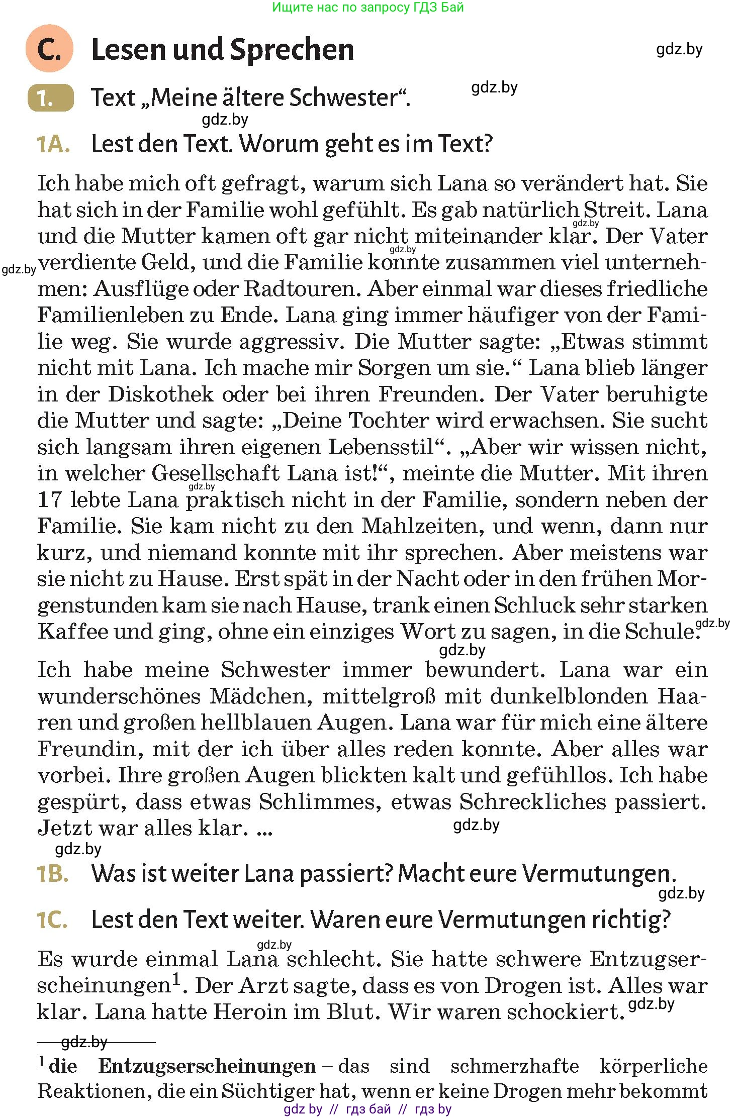 Немецкий язык (Deutsch), 9 класс Учебник (Schülerbuch), авторы: Будько Антонина Филипповна (Budjko Antonina), Курьян Владимир Владимирович (Kurjan Wladimir), издательство Адукацыя i выхаванне, Минск, 2026, зелёного цвета, страница 127, номер 1, Условие