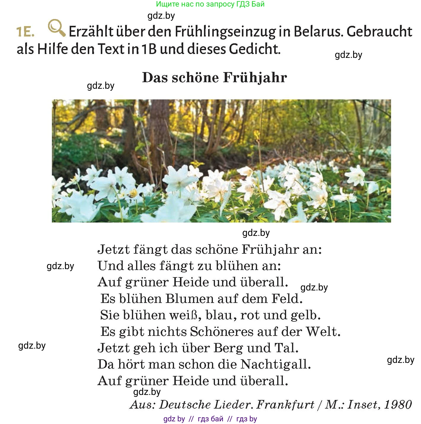 Немецкий язык (Deutsch), 9 класс Учебник (Schülerbuch), авторы: Будько Антонина Филипповна (Budjko Antonina), Курьян Владимир Владимирович (Kurjan Wladimir), издательство Адукацыя i выхаванне, Минск, 2026, зелёного цвета, страница 238, номер 1, Условие (продолжение 3)
