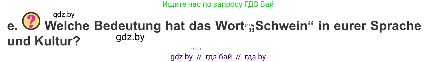 Немецкий язык (Deutsch), 9 класс Учебник (Schülerbuch), авторы: Будько Антонина Филипповна (Budjko Antonina), Урбанович Инна Ювинальевна (Urbanowitsch Ina), издательство Вышэйшая школа, Минск, 2018, серого цвета, страница 62, номер 6e, Условие
