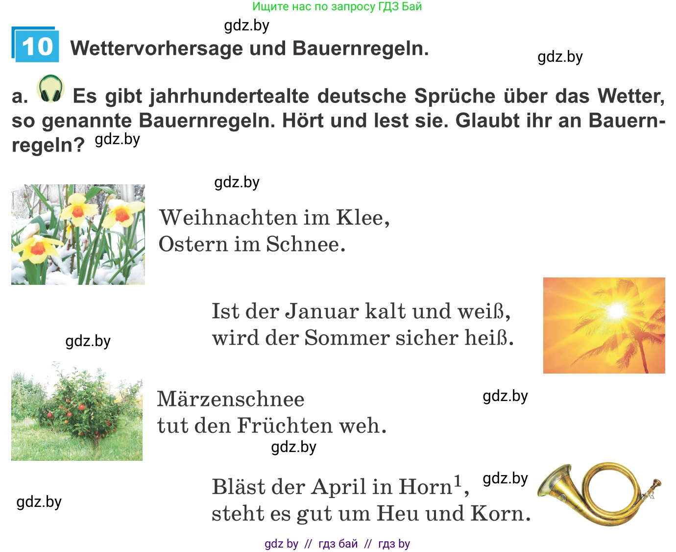 Немецкий язык (Deutsch), 9 класс Учебник (Schülerbuch), авторы: Будько Антонина Филипповна (Budjko Antonina), Урбанович Инна Ювинальевна (Urbanowitsch Ina), издательство Вышэйшая школа, Минск, 2018, серого цвета, страница 227, номер 10a, Условие