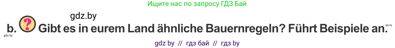 Немецкий язык (Deutsch), 9 класс Учебник (Schülerbuch), авторы: Будько Антонина Филипповна (Budjko Antonina), Урбанович Инна Ювинальевна (Urbanowitsch Ina), издательство Вышэйшая школа, Минск, 2018, серого цвета, страница 228, номер 10b, Условие