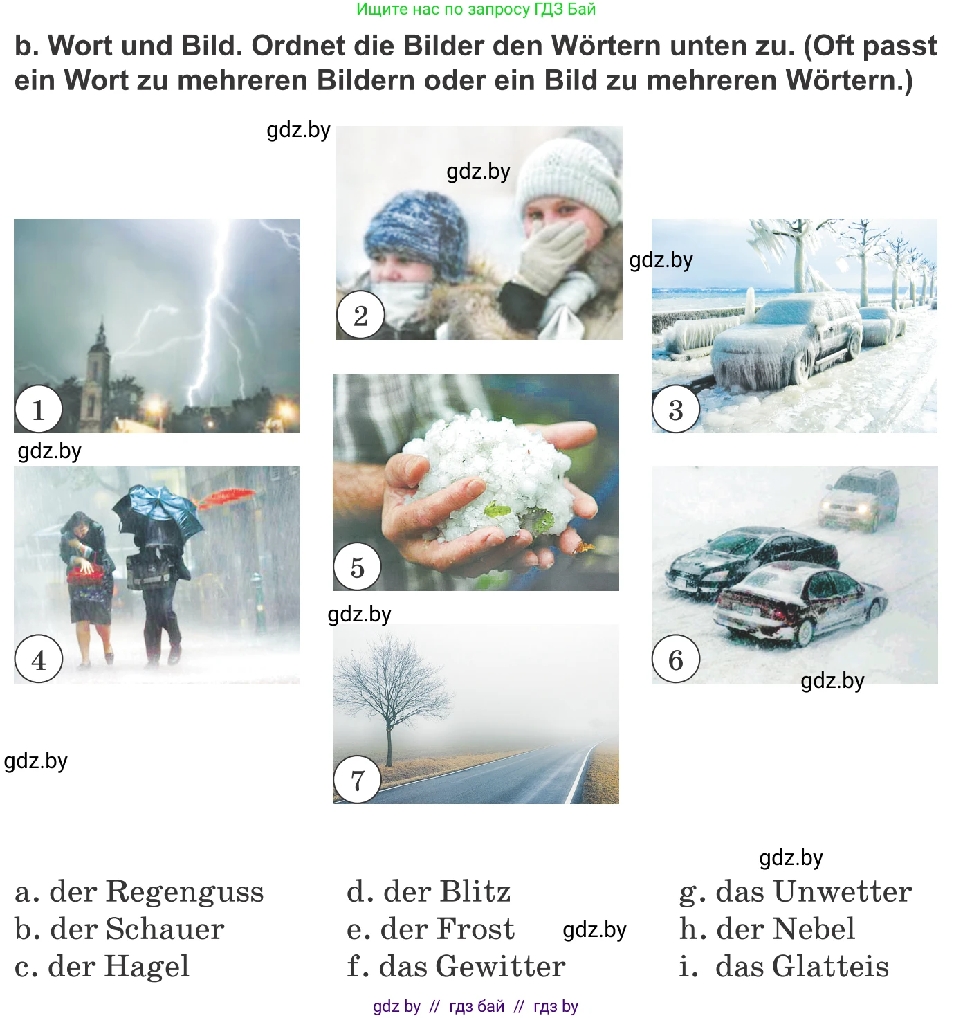 Немецкий язык (Deutsch), 9 класс Учебник (Schülerbuch), авторы: Будько Антонина Филипповна (Budjko Antonina), Урбанович Инна Ювинальевна (Urbanowitsch Ina), издательство Вышэйшая школа, Минск, 2018, серого цвета, страница 217, номер 2b, Условие