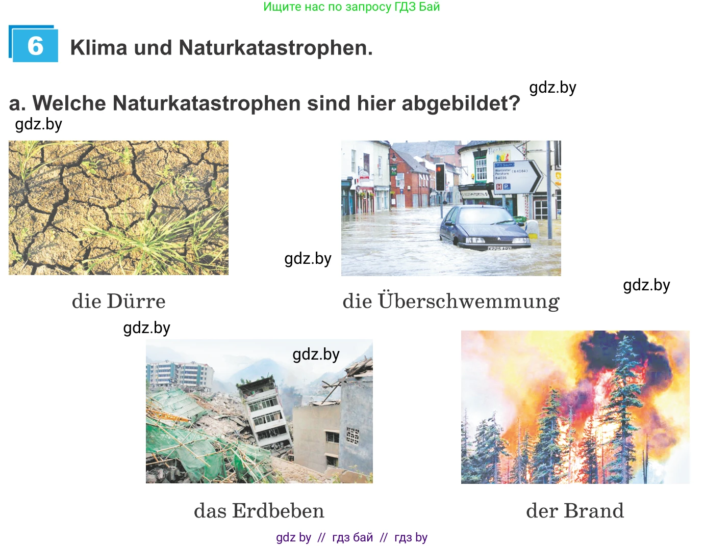 Немецкий язык (Deutsch), 9 класс Учебник (Schülerbuch), авторы: Будько Антонина Филипповна (Budjko Antonina), Урбанович Инна Ювинальевна (Urbanowitsch Ina), издательство Вышэйшая школа, Минск, 2018, серого цвета, страница 236, номер 6a, Условие
