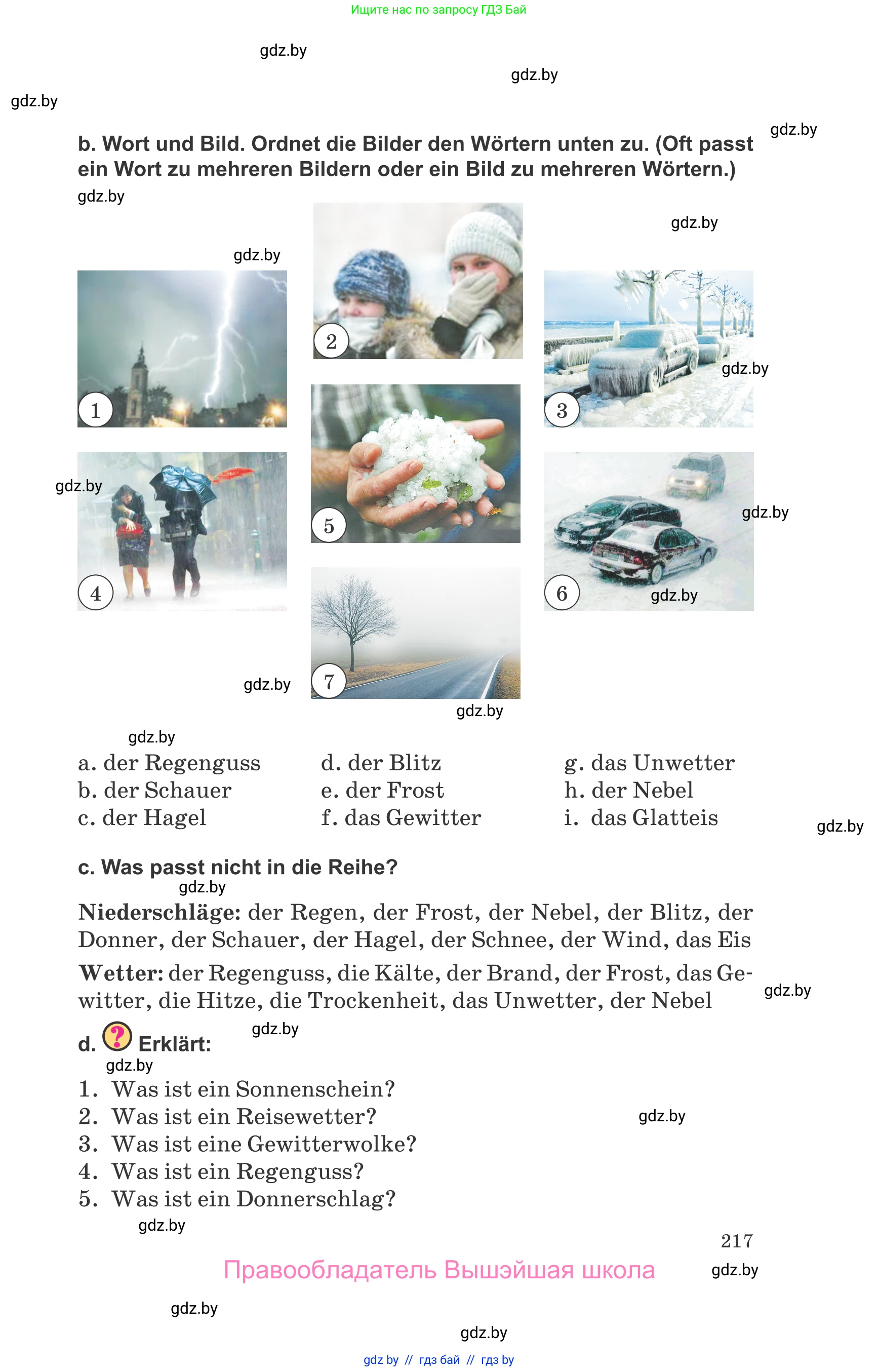 Немецкий язык (Deutsch), 9 класс Учебник (Schülerbuch), авторы: Будько Антонина Филипповна (Budjko Antonina), Урбанович Инна Ювинальевна (Urbanowitsch Ina), издательство Вышэйшая школа, Минск, 2018, серого цвета, страница 217