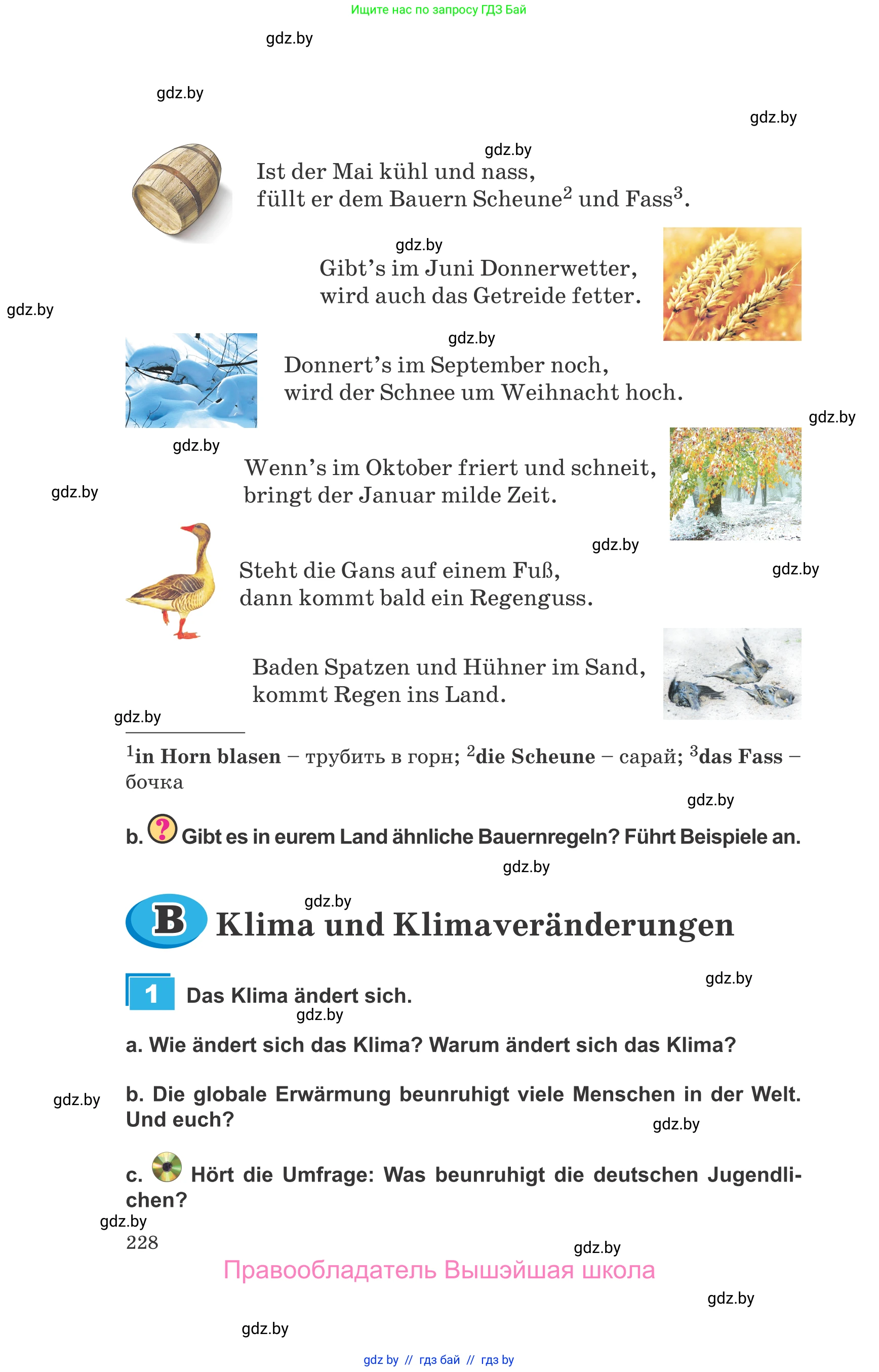 Немецкий язык (Deutsch), 9 класс Учебник (Schülerbuch), авторы: Будько Антонина Филипповна (Budjko Antonina), Урбанович Инна Ювинальевна (Urbanowitsch Ina), издательство Вышэйшая школа, Минск, 2018, серого цвета, страница 228