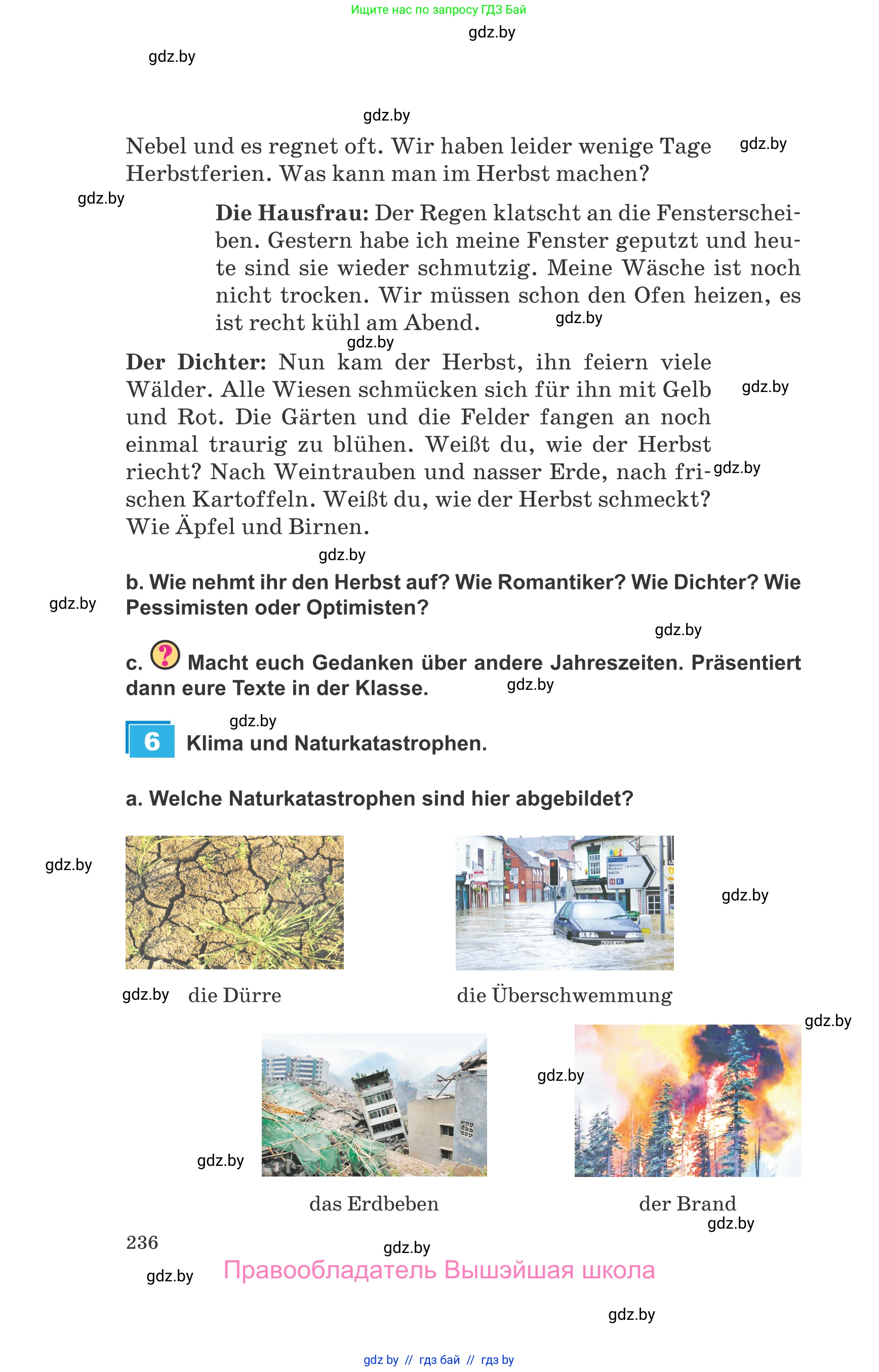 Немецкий язык (Deutsch), 9 класс Учебник (Schülerbuch), авторы: Будько Антонина Филипповна (Budjko Antonina), Урбанович Инна Ювинальевна (Urbanowitsch Ina), издательство Вышэйшая школа, Минск, 2018, серого цвета, страница 236