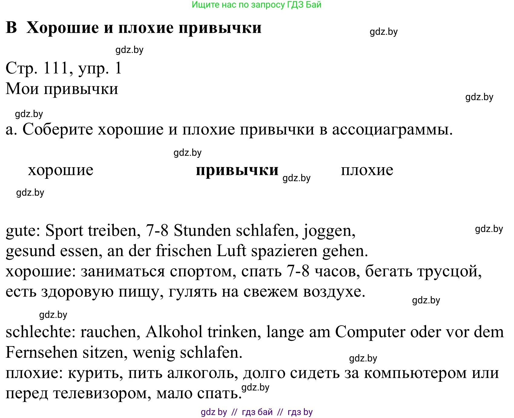 Немецкий язык (Deutsch), 9 класс Учебник (Schülerbuch), авторы: Будько Антонина Филипповна (Budjko Antonina), Урбанович Инна Ювинальевна (Urbanowitsch Ina), издательство Вышэйшая школа, Минск, 2018, серого цвета, страница 111, номер 1a, Решение