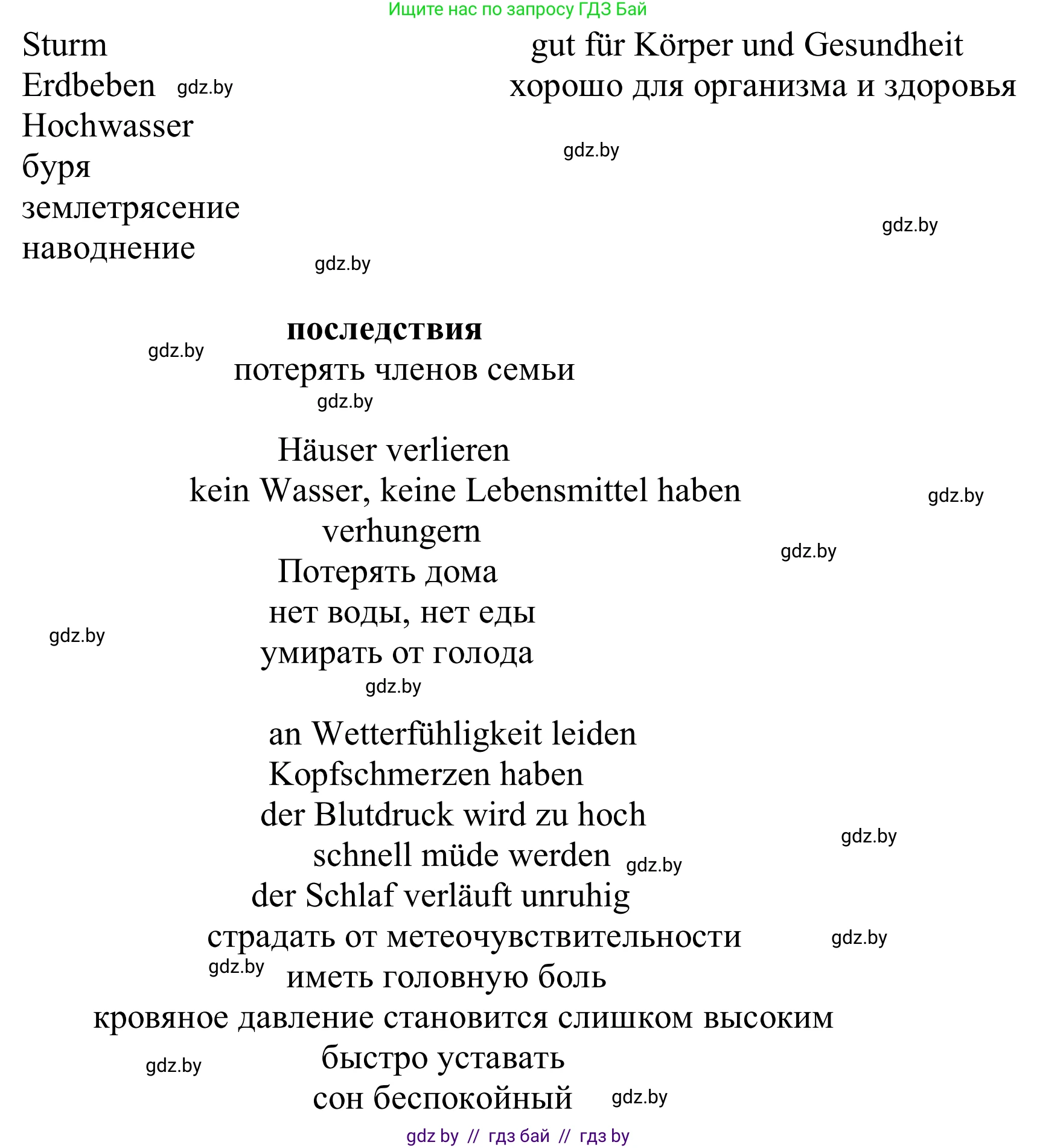 Немецкий язык (Deutsch), 9 класс Учебник (Schülerbuch), авторы: Будько Антонина Филипповна (Budjko Antonina), Урбанович Инна Ювинальевна (Urbanowitsch Ina), издательство Вышэйшая школа, Минск, 2018, серого цвета, страница 243, номер 2e, Решение (продолжение 2)