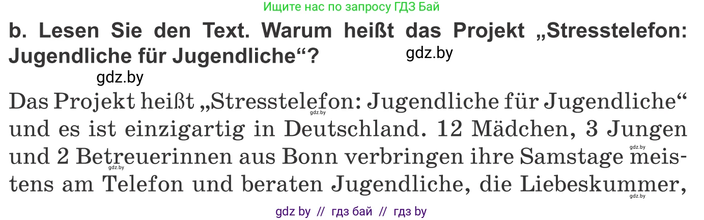Немецкий язык (Deutsch), 10 класс Учебник (Schülerbuch), авторы: Будько Антонина Филипповна (Budjko Antonina), Урбанович Инна Ювинальевна (Urbanowitsch Ina), издательство Вышэйшая школа, Минск, 2018, оранжевого цвета, страница 213, номер 3b, Условие