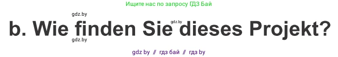 Немецкий язык (Deutsch), 10 класс Учебник (Schülerbuch), авторы: Будько Антонина Филипповна (Budjko Antonina), Урбанович Инна Ювинальевна (Urbanowitsch Ina), издательство Вышэйшая школа, Минск, 2018, оранжевого цвета, страница 222, номер 2b, Условие