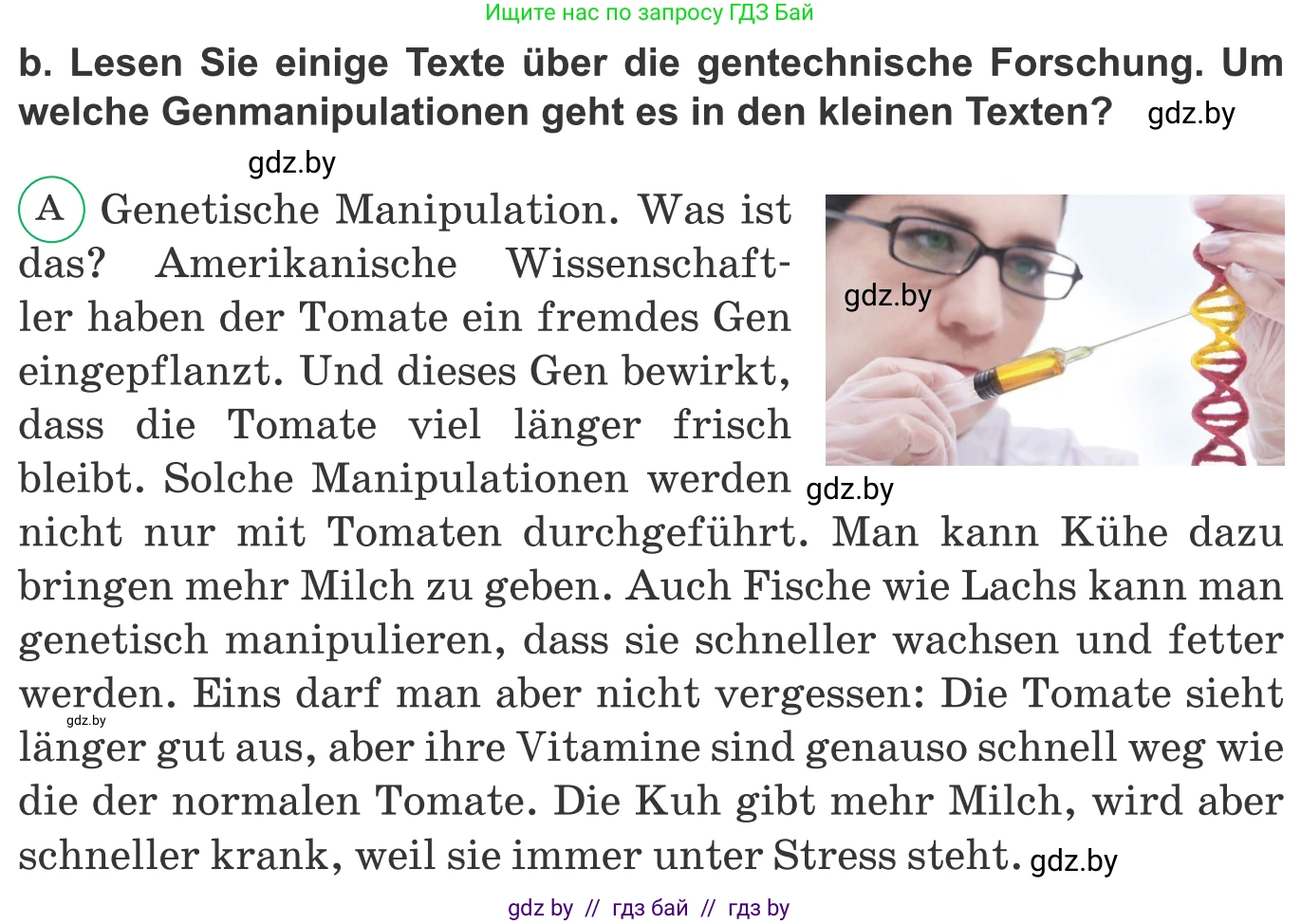 Немецкий язык (Deutsch), 10 класс Учебник (Schülerbuch), авторы: Будько Антонина Филипповна (Budjko Antonina), Урбанович Инна Ювинальевна (Urbanowitsch Ina), издательство Вышэйшая школа, Минск, 2018, оранжевого цвета, страница 222, номер 3b, Условие