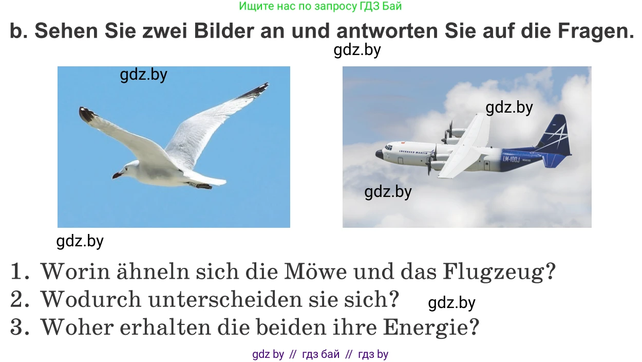 Немецкий язык (Deutsch), 10 класс Учебник (Schülerbuch), авторы: Будько Антонина Филипповна (Budjko Antonina), Урбанович Инна Ювинальевна (Urbanowitsch Ina), издательство Вышэйшая школа, Минск, 2018, оранжевого цвета, страница 244, номер 8b, Условие