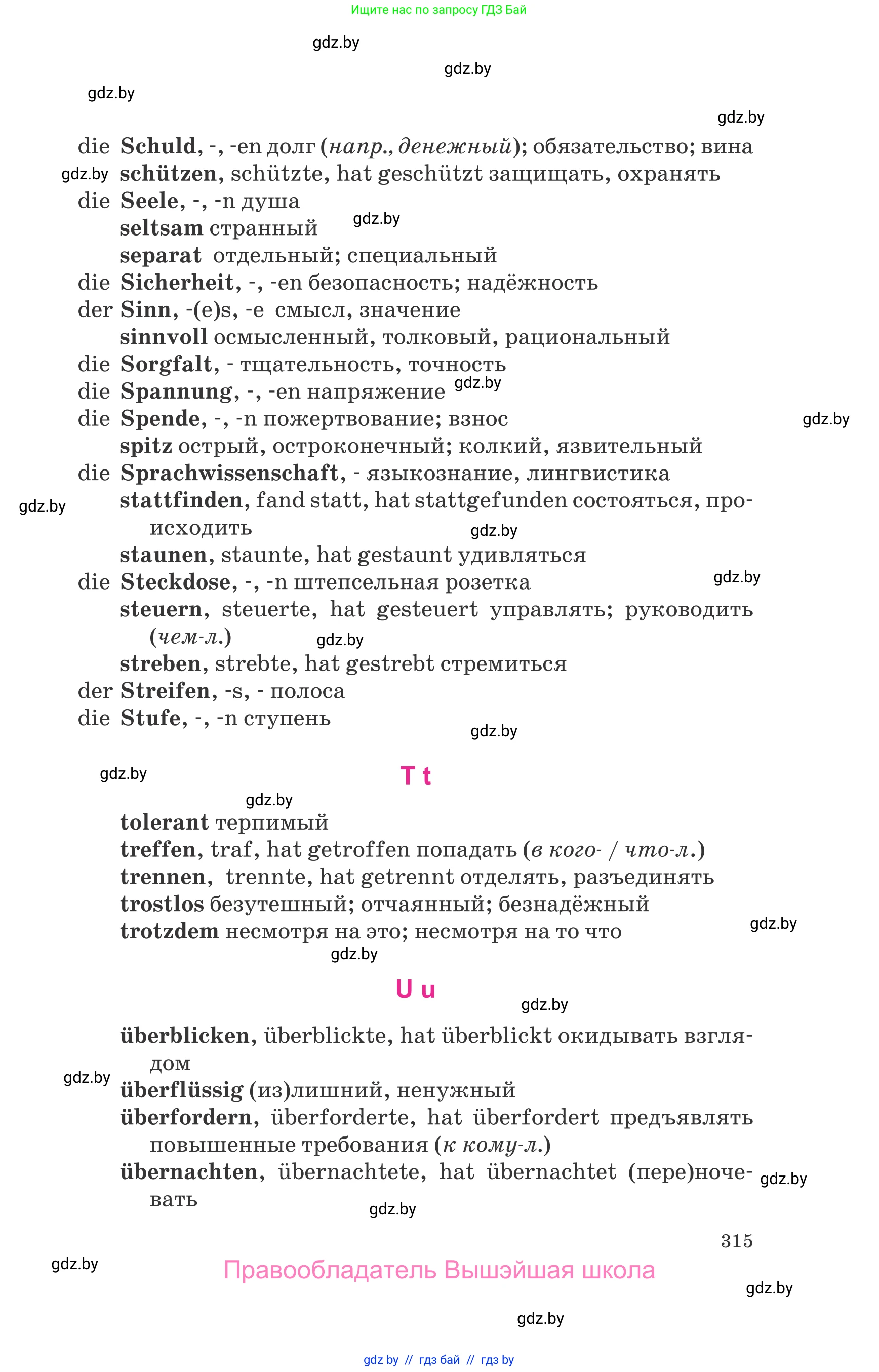 Немецкий язык (Deutsch), 10 класс Учебник (Schülerbuch), авторы: Будько Антонина Филипповна (Budjko Antonina), Урбанович Инна Ювинальевна (Urbanowitsch Ina), издательство Вышэйшая школа, Минск, 2018, оранжевого цвета, страница 315