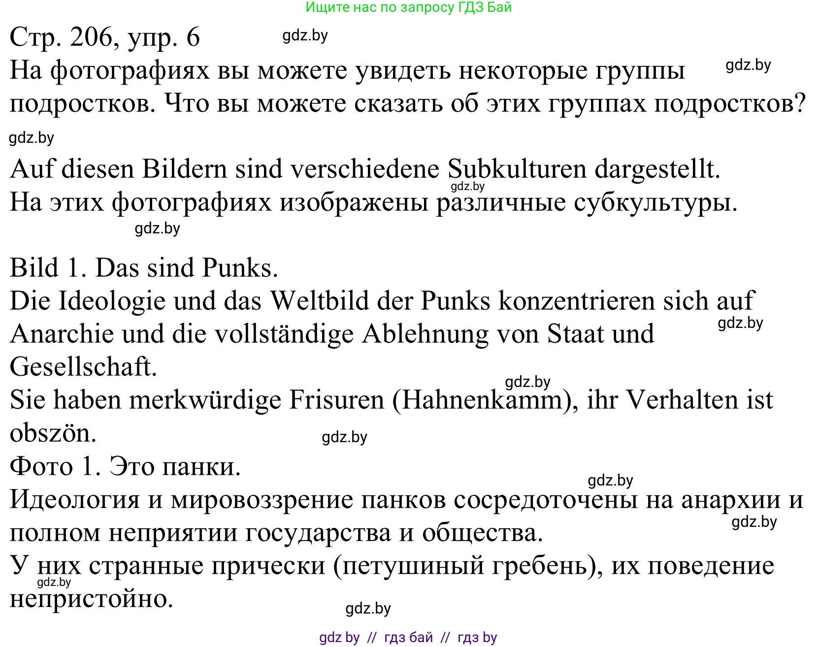 Немецкий язык (Deutsch), 10 класс Учебник (Schülerbuch), авторы: Будько Антонина Филипповна (Budjko Antonina), Урбанович Инна Ювинальевна (Urbanowitsch Ina), издательство Вышэйшая школа, Минск, 2018, оранжевого цвета, страница 206, номер 6a, Решение