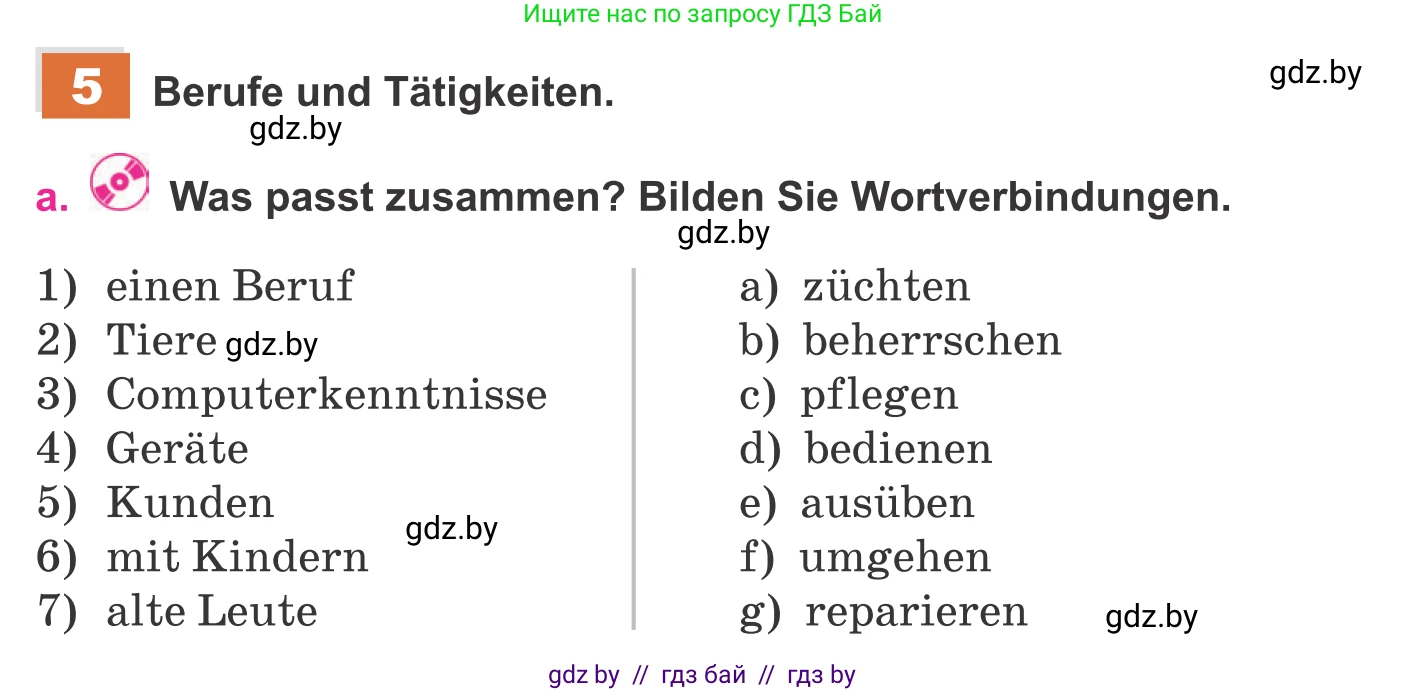 Немецкий язык (Deutsch), 11 класс Учебник (Schülerbuch), авторы: Будько Антонина Филипповна (Budjko Antonina), Урбанович Инна Ювинальевна (Urbanowitsch Ina), издательство Вышэйшая школа, Минск, 2019, бирюзового цвета, страница 10, номер 5а, Условие