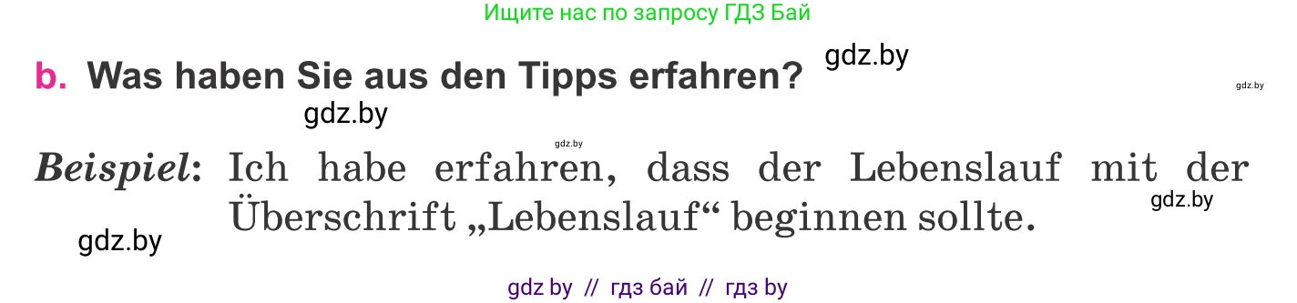 Немецкий язык (Deutsch), 11 класс Учебник (Schülerbuch), авторы: Будько Антонина Филипповна (Budjko Antonina), Урбанович Инна Ювинальевна (Urbanowitsch Ina), издательство Вышэйшая школа, Минск, 2019, бирюзового цвета, страница 47, номер 10b, Условие