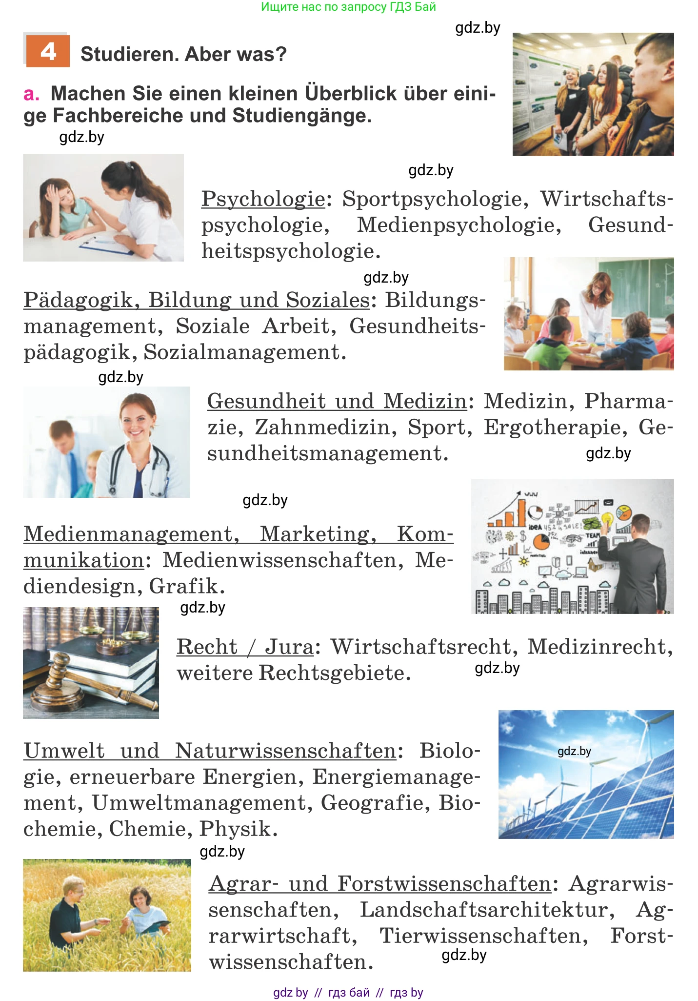 Немецкий язык (Deutsch), 11 класс Учебник (Schülerbuch), авторы: Будько Антонина Филипповна (Budjko Antonina), Урбанович Инна Ювинальевна (Urbanowitsch Ina), издательство Вышэйшая школа, Минск, 2019, бирюзового цвета, страница 37, номер 4a, Условие