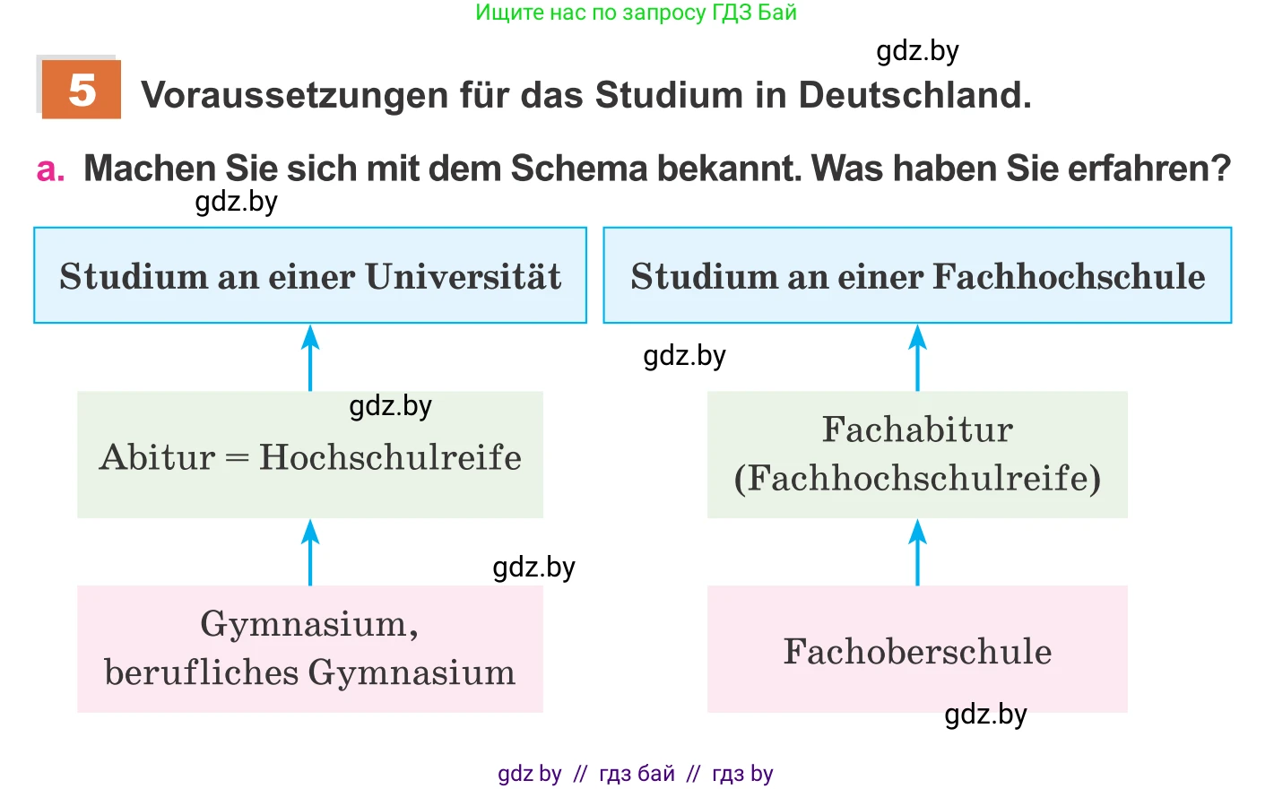 Немецкий язык (Deutsch), 11 класс Учебник (Schülerbuch), авторы: Будько Антонина Филипповна (Budjko Antonina), Урбанович Инна Ювинальевна (Urbanowitsch Ina), издательство Вышэйшая школа, Минск, 2019, бирюзового цвета, страница 38, номер 5a, Условие