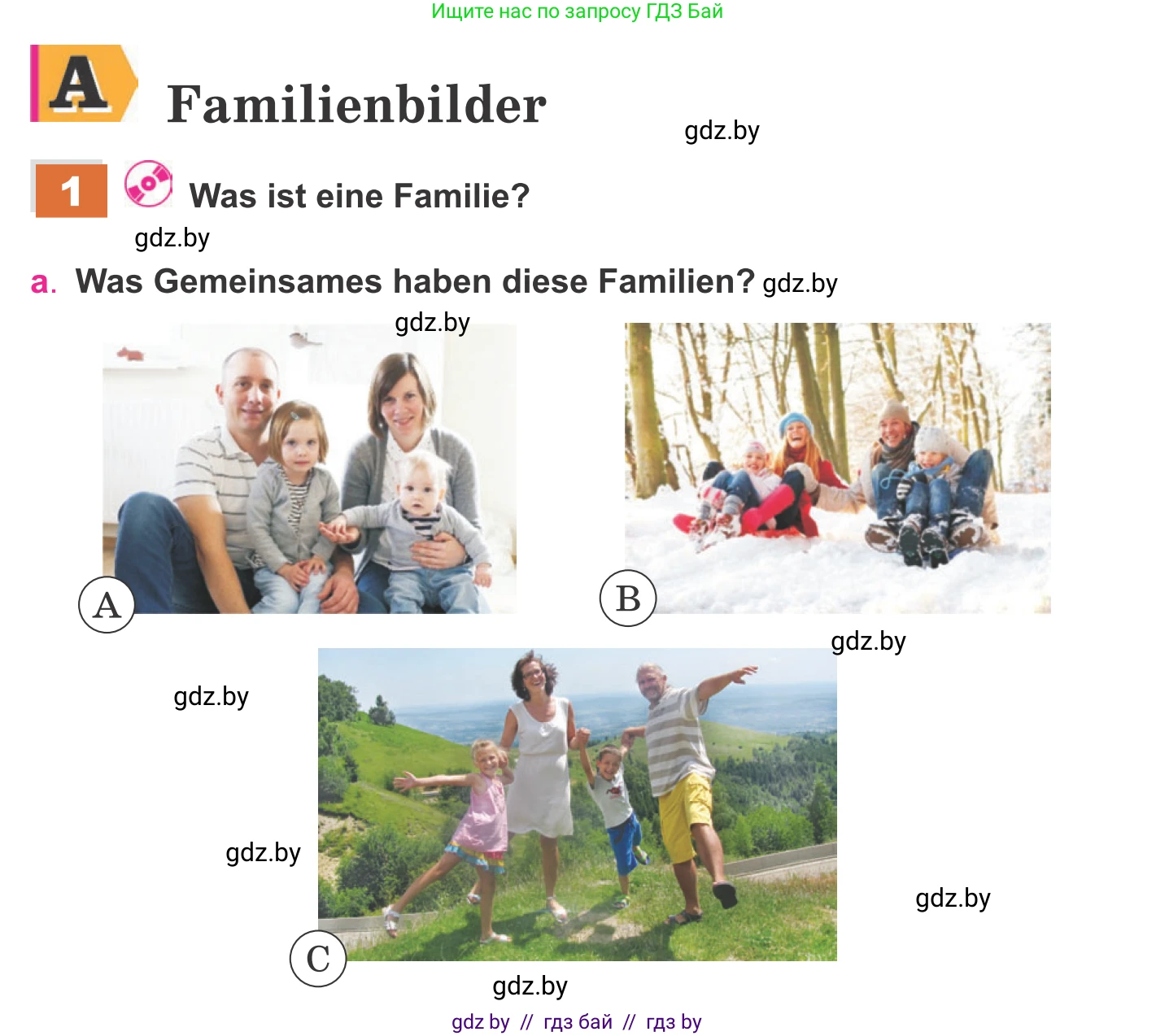 Немецкий язык (Deutsch), 11 класс Учебник (Schülerbuch), авторы: Будько Антонина Филипповна (Budjko Antonina), Урбанович Инна Ювинальевна (Urbanowitsch Ina), издательство Вышэйшая школа, Минск, 2019, бирюзового цвета, страница 62, номер 1a, Условие