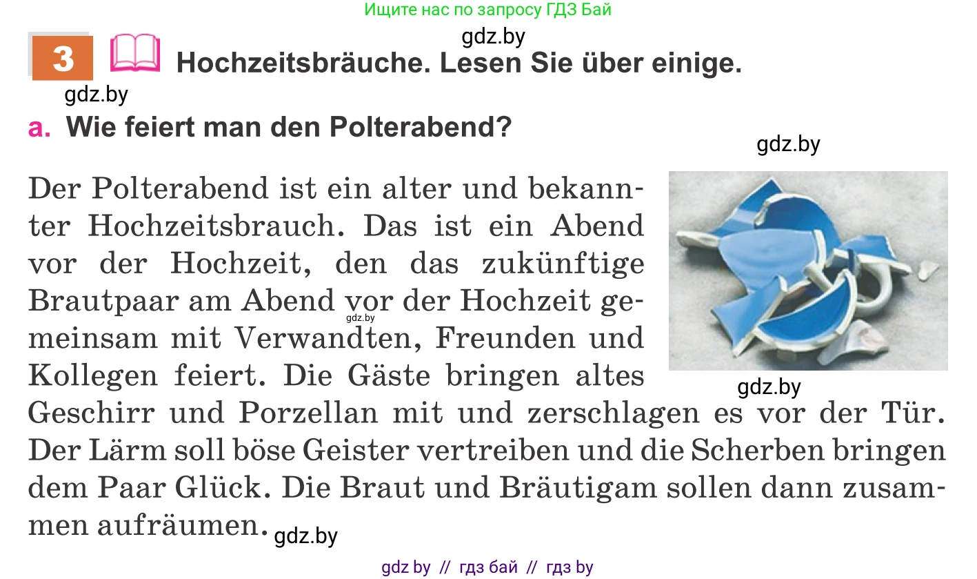 Немецкий язык (Deutsch), 11 класс Учебник (Schülerbuch), авторы: Будько Антонина Филипповна (Budjko Antonina), Урбанович Инна Ювинальевна (Urbanowitsch Ina), издательство Вышэйшая школа, Минск, 2019, бирюзового цвета, страница 94, номер 3a, Условие