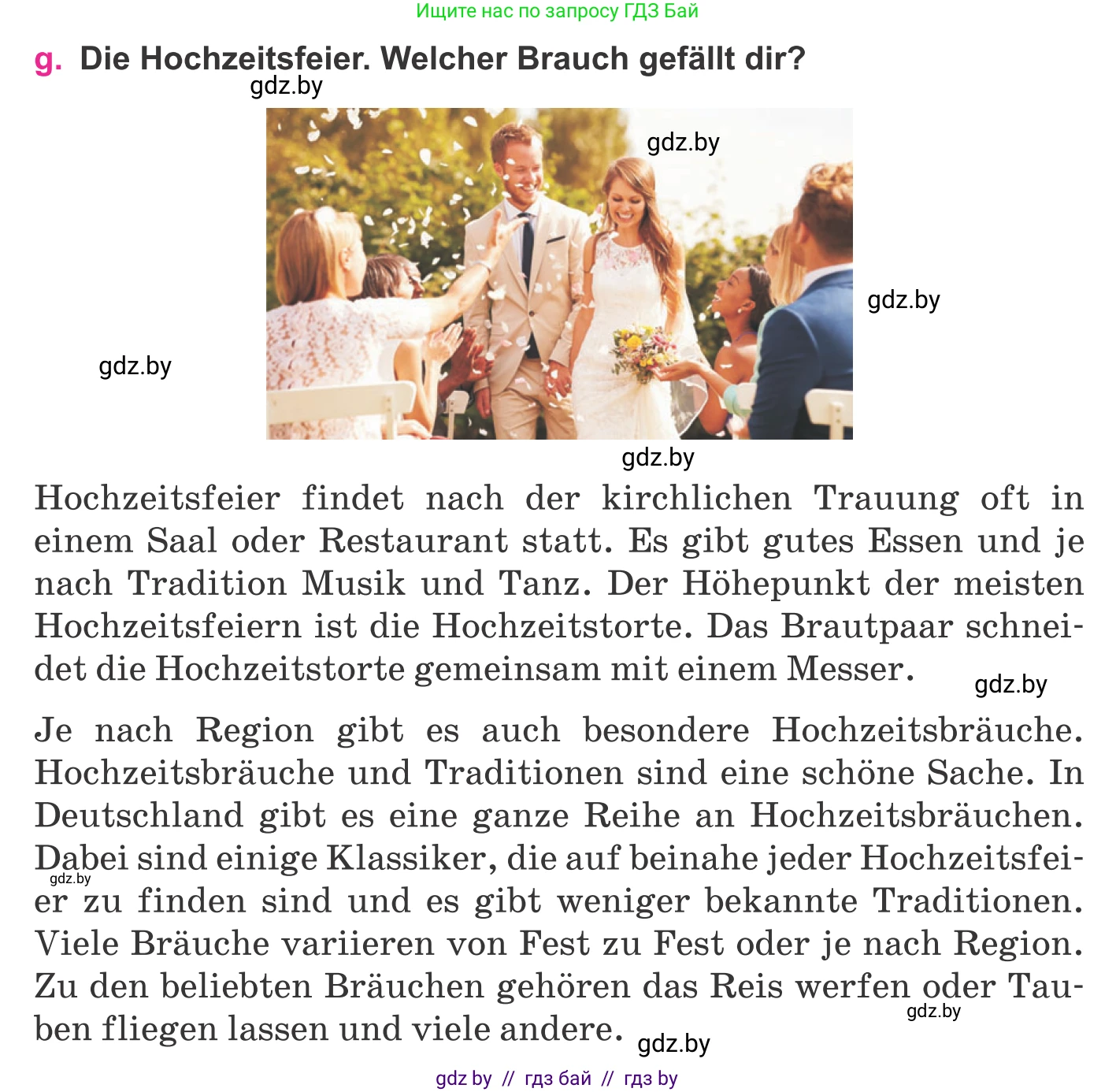 Немецкий язык (Deutsch), 11 класс Учебник (Schülerbuch), авторы: Будько Антонина Филипповна (Budjko Antonina), Урбанович Инна Ювинальевна (Urbanowitsch Ina), издательство Вышэйшая школа, Минск, 2019, бирюзового цвета, страница 96, номер 3g, Условие