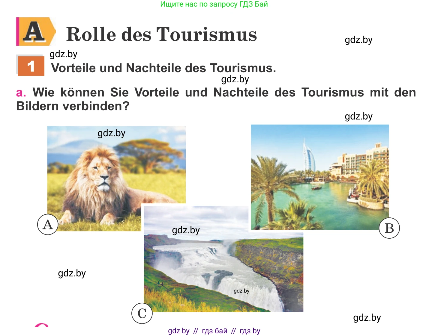 Немецкий язык (Deutsch), 11 класс Учебник (Schülerbuch), авторы: Будько Антонина Филипповна (Budjko Antonina), Урбанович Инна Ювинальевна (Urbanowitsch Ina), издательство Вышэйшая школа, Минск, 2019, бирюзового цвета, страница 102, номер 1a, Условие