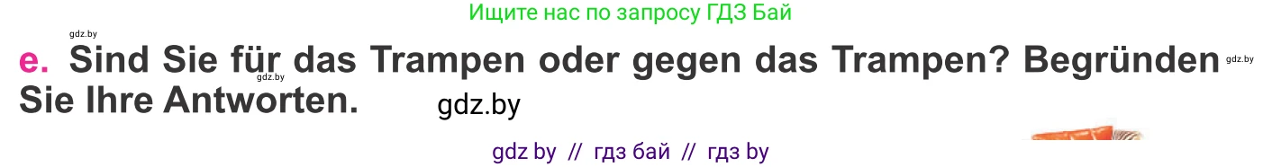Немецкий язык (Deutsch), 11 класс Учебник (Schülerbuch), авторы: Будько Антонина Филипповна (Budjko Antonina), Урбанович Инна Ювинальевна (Urbanowitsch Ina), издательство Вышэйшая школа, Минск, 2019, бирюзового цвета, страница 113, номер 6e, Условие