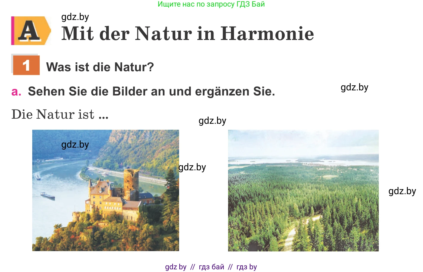 Немецкий язык (Deutsch), 11 класс Учебник (Schülerbuch), авторы: Будько Антонина Филипповна (Budjko Antonina), Урбанович Инна Ювинальевна (Urbanowitsch Ina), издательство Вышэйшая школа, Минск, 2019, бирюзового цвета, страница 157, номер 1a, Условие