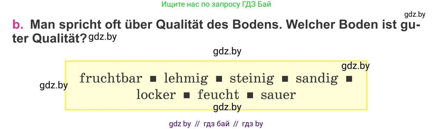 Немецкий язык (Deutsch), 11 класс Учебник (Schülerbuch), авторы: Будько Антонина Филипповна (Budjko Antonina), Урбанович Инна Ювинальевна (Urbanowitsch Ina), издательство Вышэйшая школа, Минск, 2019, бирюзового цвета, страница 160, номер 4b, Условие