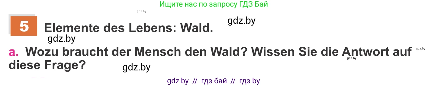 Немецкий язык (Deutsch), 11 класс Учебник (Schülerbuch), авторы: Будько Антонина Филипповна (Budjko Antonina), Урбанович Инна Ювинальевна (Urbanowitsch Ina), издательство Вышэйшая школа, Минск, 2019, бирюзового цвета, страница 162, номер 5a, Условие