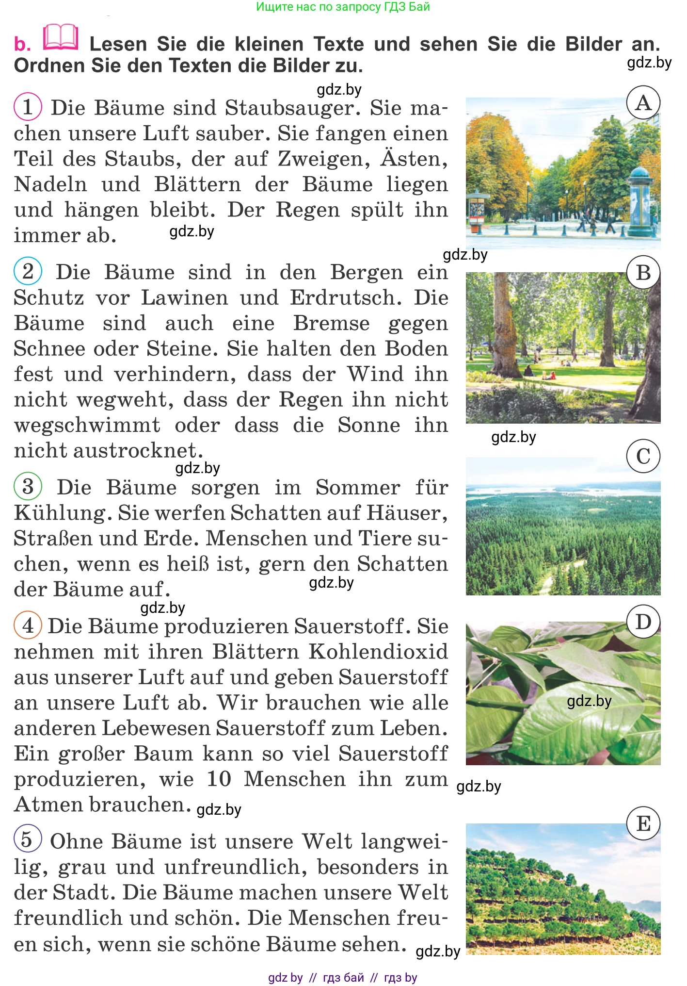 Немецкий язык (Deutsch), 11 класс Учебник (Schülerbuch), авторы: Будько Антонина Филипповна (Budjko Antonina), Урбанович Инна Ювинальевна (Urbanowitsch Ina), издательство Вышэйшая школа, Минск, 2019, бирюзового цвета, страница 162, номер 5b, Условие