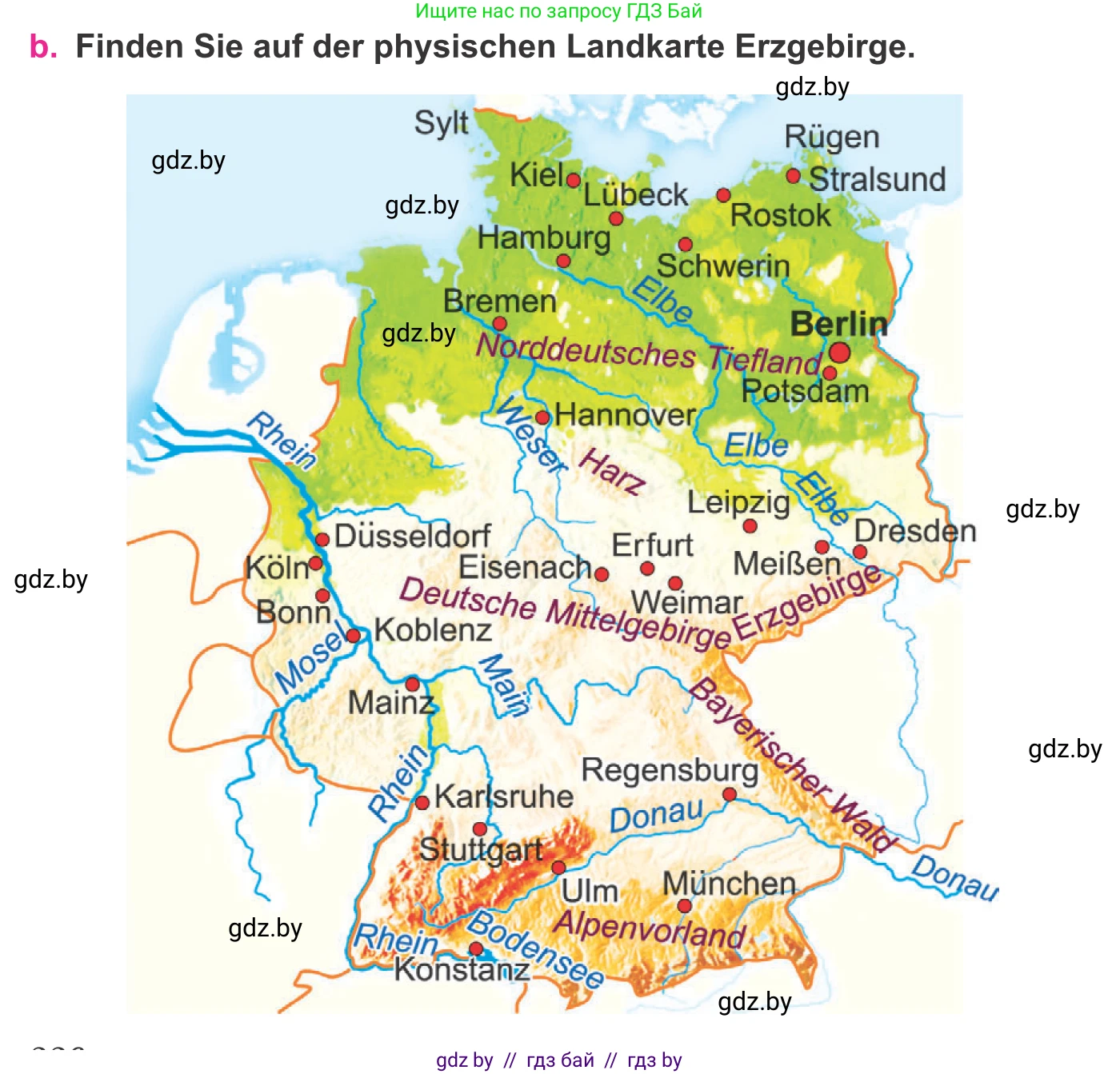 Немецкий язык (Deutsch), 11 класс Учебник (Schülerbuch), авторы: Будько Антонина Филипповна (Budjko Antonina), Урбанович Инна Ювинальевна (Urbanowitsch Ina), издательство Вышэйшая школа, Минск, 2019, бирюзового цвета, страница 226, номер 6b, Условие