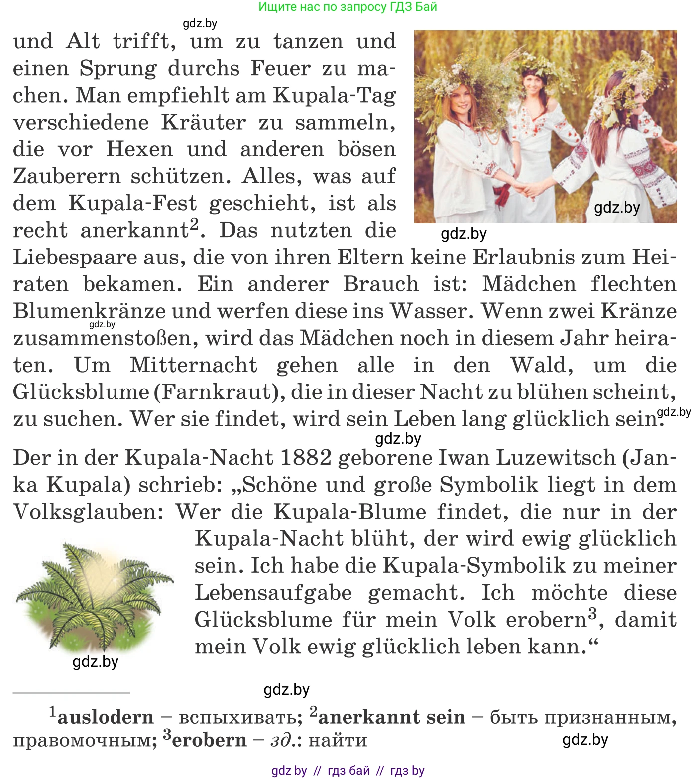 Немецкий язык (Deutsch), 11 класс Учебник (Schülerbuch), авторы: Будько Антонина Филипповна (Budjko Antonina), Урбанович Инна Ювинальевна (Urbanowitsch Ina), издательство Вышэйшая школа, Минск, 2019, бирюзового цвета, страница 230, номер 8f, Условие (продолжение 2)