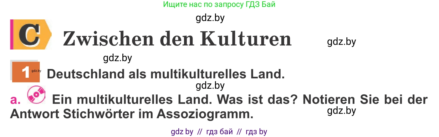 Немецкий язык (Deutsch), 11 класс Учебник (Schülerbuch), авторы: Будько Антонина Филипповна (Budjko Antonina), Урбанович Инна Ювинальевна (Urbanowitsch Ina), издательство Вышэйшая школа, Минск, 2019, бирюзового цвета, страница 238, номер 1a, Условие