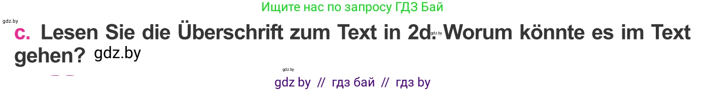Немецкий язык (Deutsch), 11 класс Учебник (Schülerbuch), авторы: Будько Антонина Филипповна (Budjko Antonina), Урбанович Инна Ювинальевна (Urbanowitsch Ina), издательство Вышэйшая школа, Минск, 2019, бирюзового цвета, страница 243, номер 2c, Условие