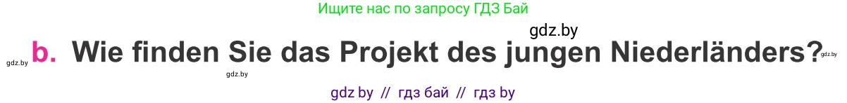 Немецкий язык (Deutsch), 11 класс Учебник (Schülerbuch), авторы: Будько Антонина Филипповна (Budjko Antonina), Урбанович Инна Ювинальевна (Urbanowitsch Ina), издательство Вышэйшая школа, Минск, 2019, бирюзового цвета, страница 294, номер 8b, Условие
