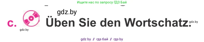 Немецкий язык (Deutsch), 11 класс Учебник (Schülerbuch), авторы: Будько Антонина Филипповна (Budjko Antonina), Урбанович Инна Ювинальевна (Urbanowitsch Ina), издательство Вышэйшая школа, Минск, 2019, бирюзового цвета, страница 303, номер 3c, Условие