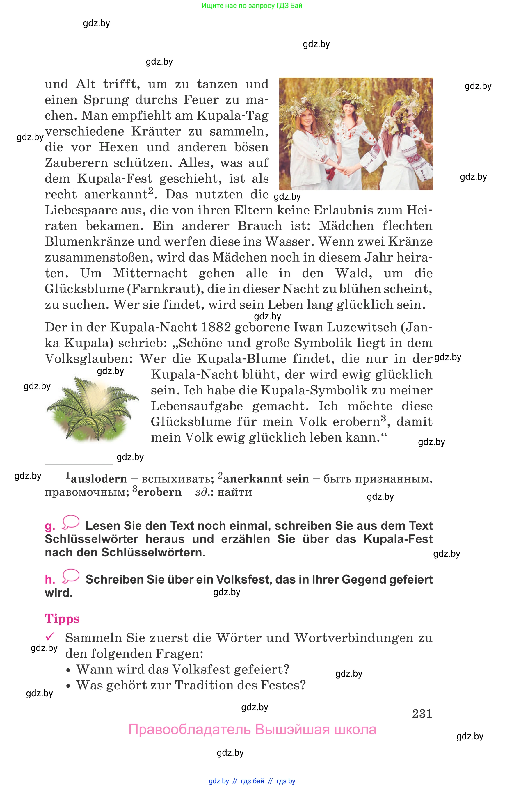 Немецкий язык (Deutsch), 11 класс Учебник (Schülerbuch), авторы: Будько Антонина Филипповна (Budjko Antonina), Урбанович Инна Ювинальевна (Urbanowitsch Ina), издательство Вышэйшая школа, Минск, 2019, бирюзового цвета, страница 231