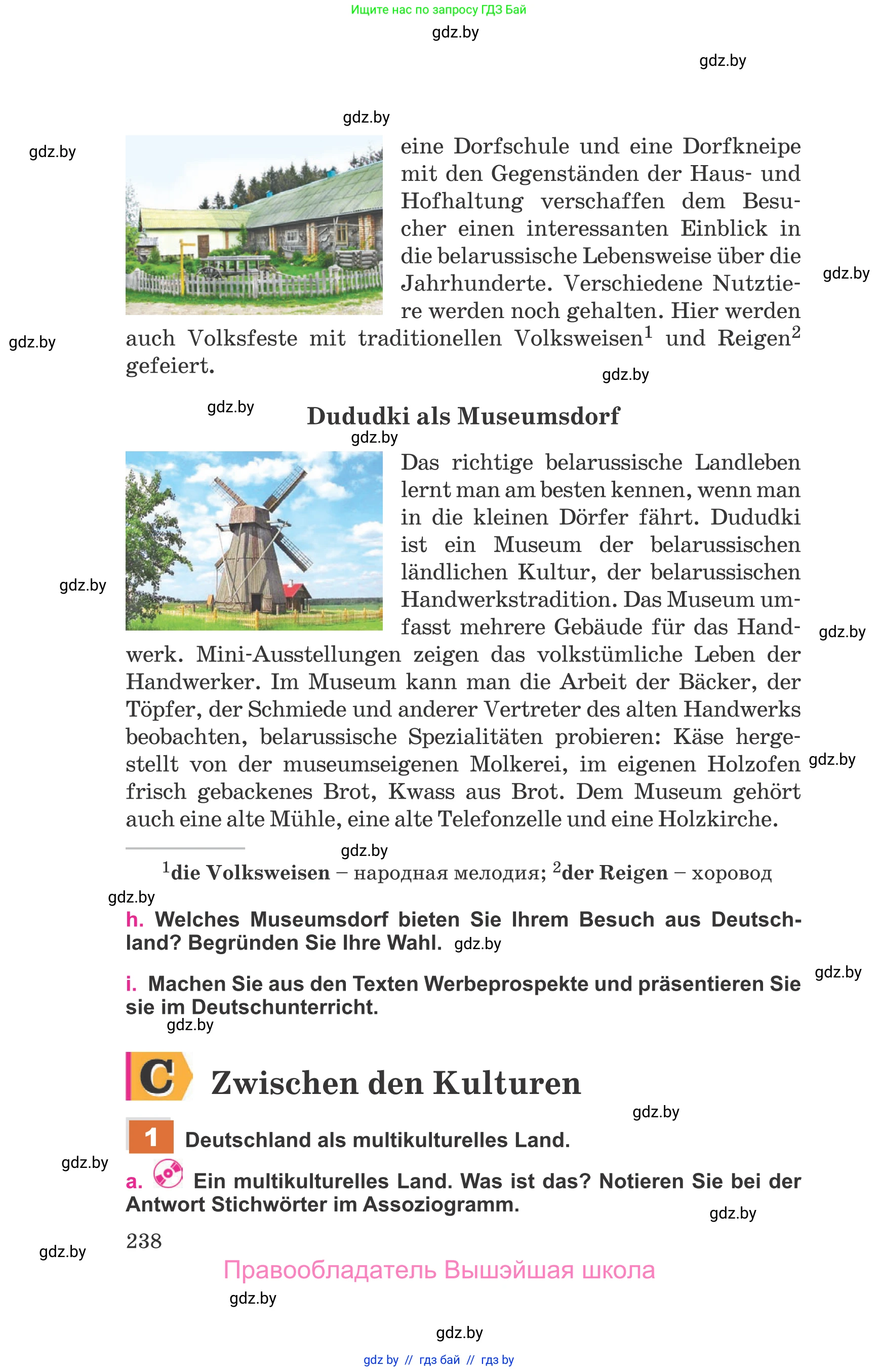 Немецкий язык (Deutsch), 11 класс Учебник (Schülerbuch), авторы: Будько Антонина Филипповна (Budjko Antonina), Урбанович Инна Ювинальевна (Urbanowitsch Ina), издательство Вышэйшая школа, Минск, 2019, бирюзового цвета, страница 238