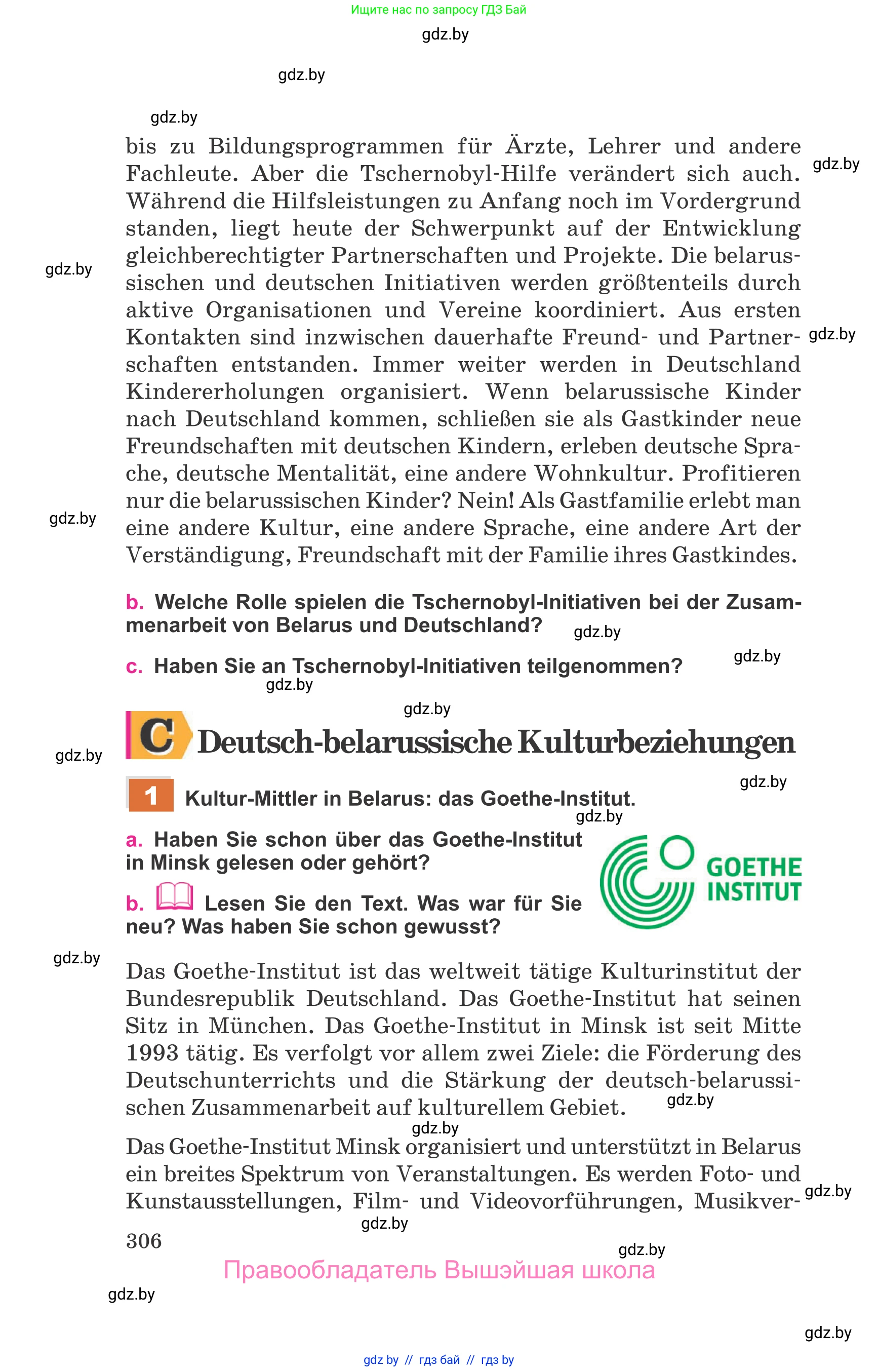 Немецкий язык (Deutsch), 11 класс Учебник (Schülerbuch), авторы: Будько Антонина Филипповна (Budjko Antonina), Урбанович Инна Ювинальевна (Urbanowitsch Ina), издательство Вышэйшая школа, Минск, 2019, бирюзового цвета, страница 306