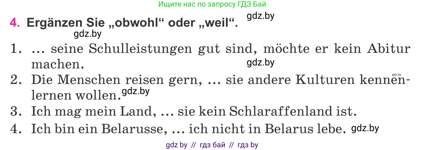 Немецкий язык (Deutsch), 11 класс Учебник (Schülerbuch), авторы: Будько Антонина Филипповна (Budjko Antonina), Урбанович Инна Ювинальевна (Urbanowitsch Ina), издательство Вышэйшая школа, Минск, 2019, бирюзового цвета, страница 325, номер 4, Условие