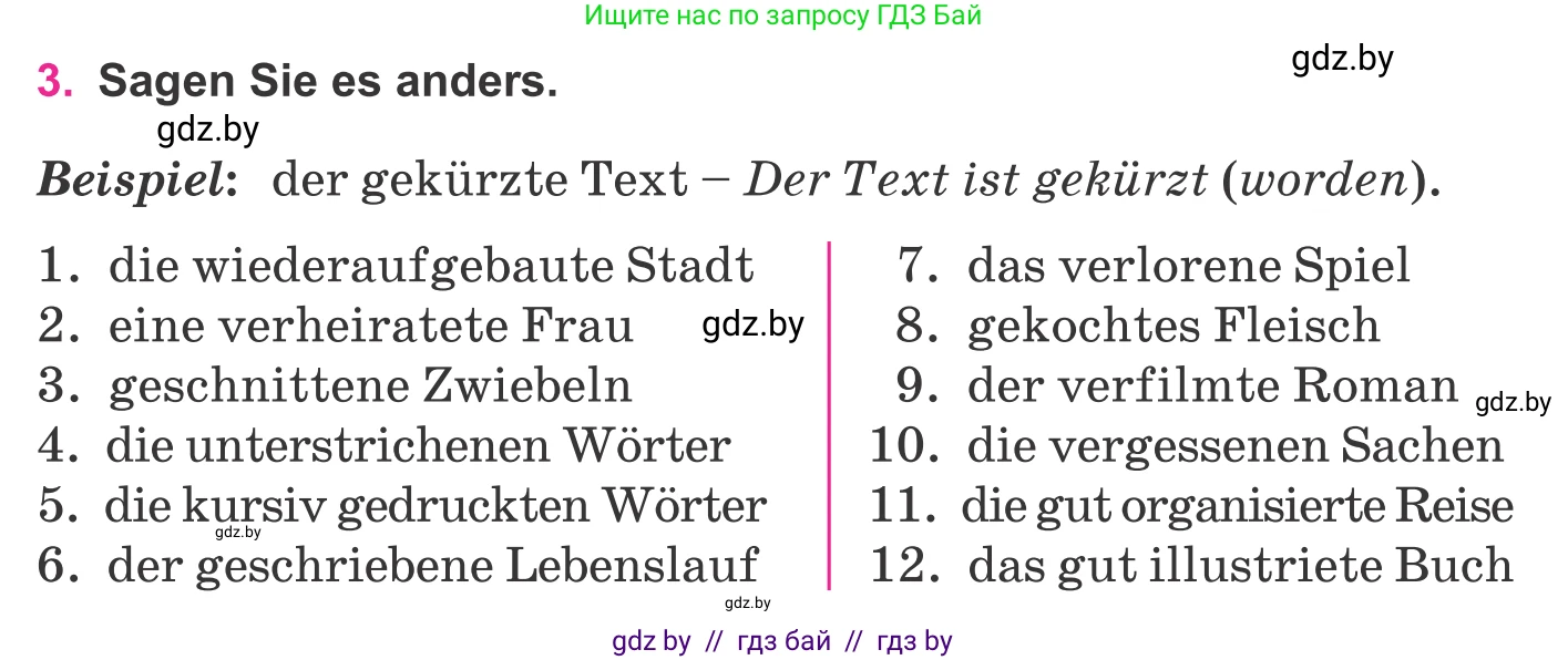 Немецкий язык (Deutsch), 11 класс Учебник (Schülerbuch), авторы: Будько Антонина Филипповна (Budjko Antonina), Урбанович Инна Ювинальевна (Urbanowitsch Ina), издательство Вышэйшая школа, Минск, 2019, бирюзового цвета, страница 329, номер 3, Условие