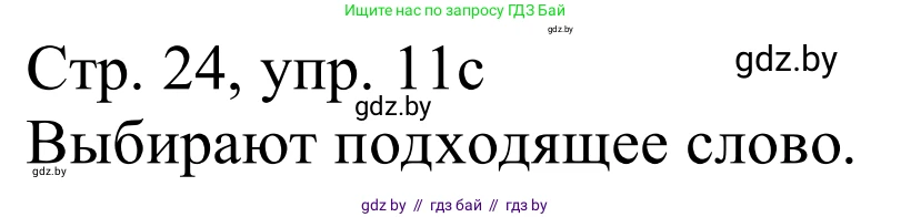 Немецкий язык (Deutsch), 11 класс Учебник (Schülerbuch), авторы: Будько Антонина Филипповна (Budjko Antonina), Урбанович Инна Ювинальевна (Urbanowitsch Ina), издательство Вышэйшая школа, Минск, 2019, бирюзового цвета, страница 24, номер 11c, Решение