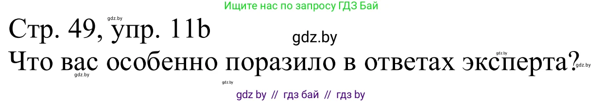 Немецкий язык (Deutsch), 11 класс Учебник (Schülerbuch), авторы: Будько Антонина Филипповна (Budjko Antonina), Урбанович Инна Ювинальевна (Urbanowitsch Ina), издательство Вышэйшая школа, Минск, 2019, бирюзового цвета, страница 49, номер 11b, Решение
