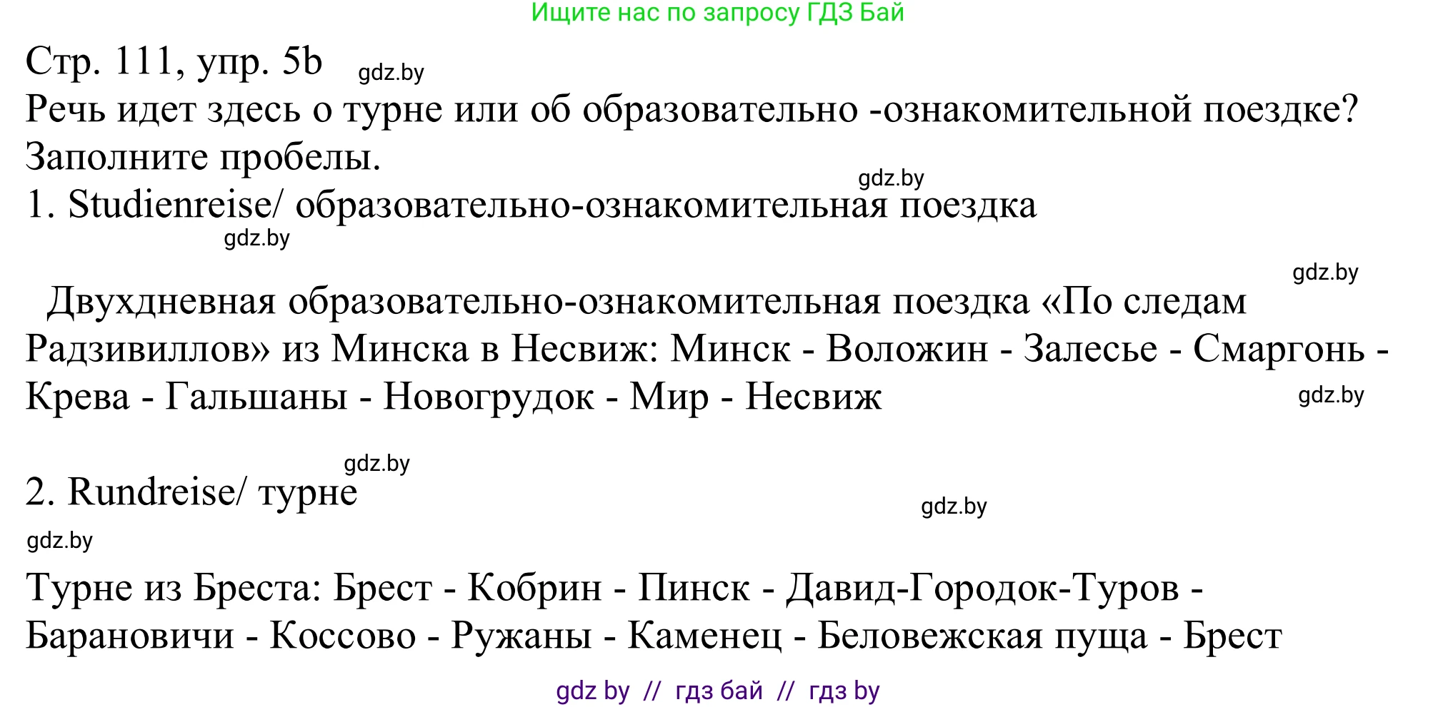 Немецкий язык (Deutsch), 11 класс Учебник (Schülerbuch), авторы: Будько Антонина Филипповна (Budjko Antonina), Урбанович Инна Ювинальевна (Urbanowitsch Ina), издательство Вышэйшая школа, Минск, 2019, бирюзового цвета, страница 111, номер 5b, Решение