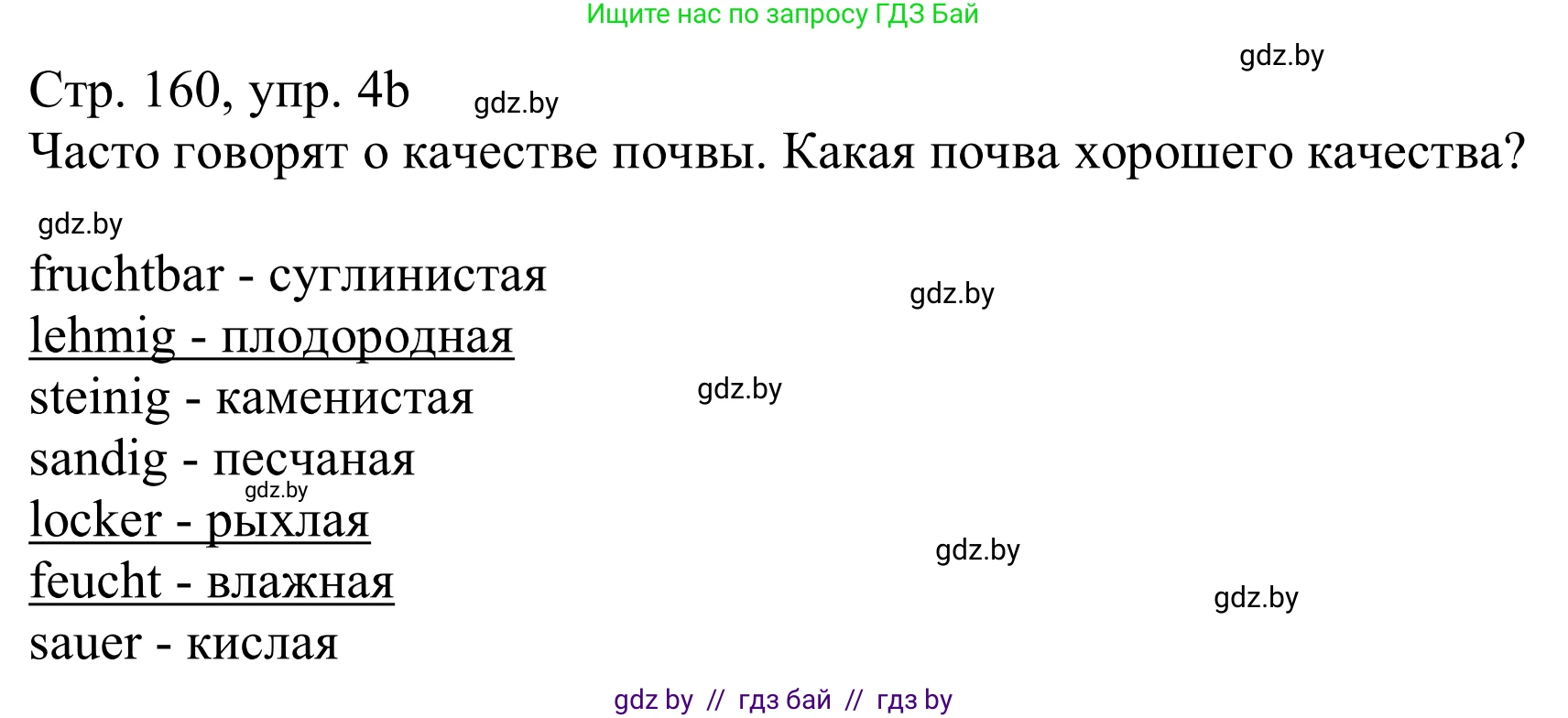 Немецкий язык (Deutsch), 11 класс Учебник (Schülerbuch), авторы: Будько Антонина Филипповна (Budjko Antonina), Урбанович Инна Ювинальевна (Urbanowitsch Ina), издательство Вышэйшая школа, Минск, 2019, бирюзового цвета, страница 160, номер 4b, Решение